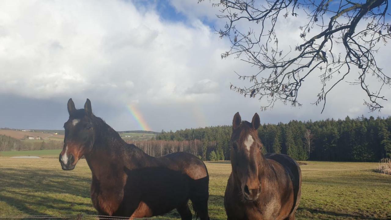 Ferienwohnung Gruengut Weckersdorf Exteriör bild