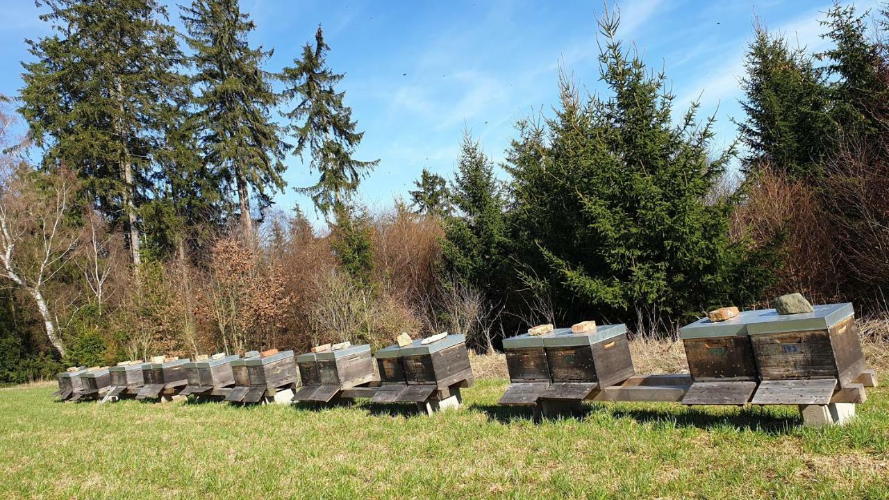 Ferienwohnung Gruengut Weckersdorf Exteriör bild
